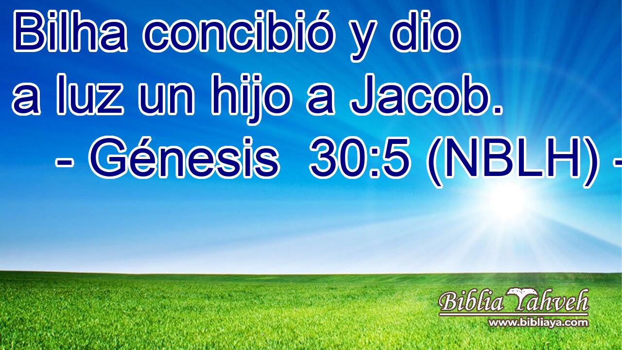  Bilha concibió y dio a luz un hijo a Jacob. 