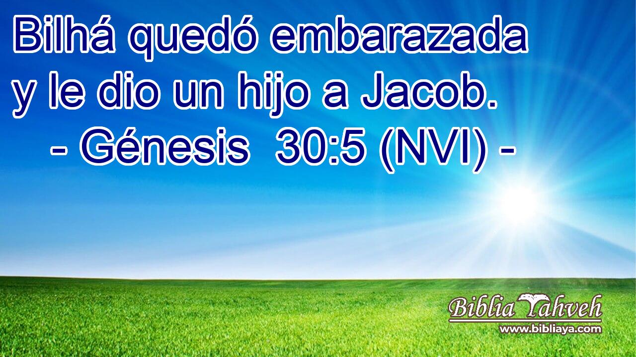  Bilhá quedó embarazada y le dio un hijo a Jacob. 