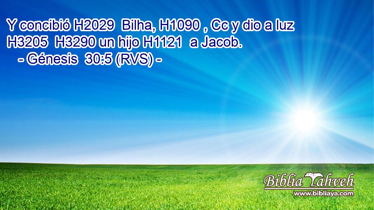 Y concibió H2029  Bilha, H1090 , Cc y dio a luz H3205  H3290 un hijo H1121  a Jacob. 
