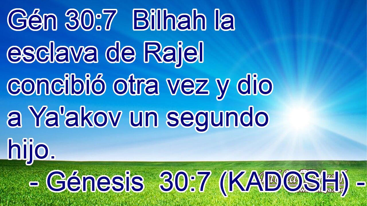 Bilhah la esclava de Rajel concibió otra vez y dio a Ya'akov un segundo hijo. 