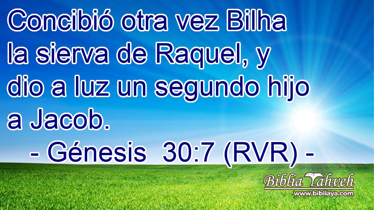 Concibió otra vez Bilha la sierva de Raquel, y dio a luz un segundo hijo a Jacob.