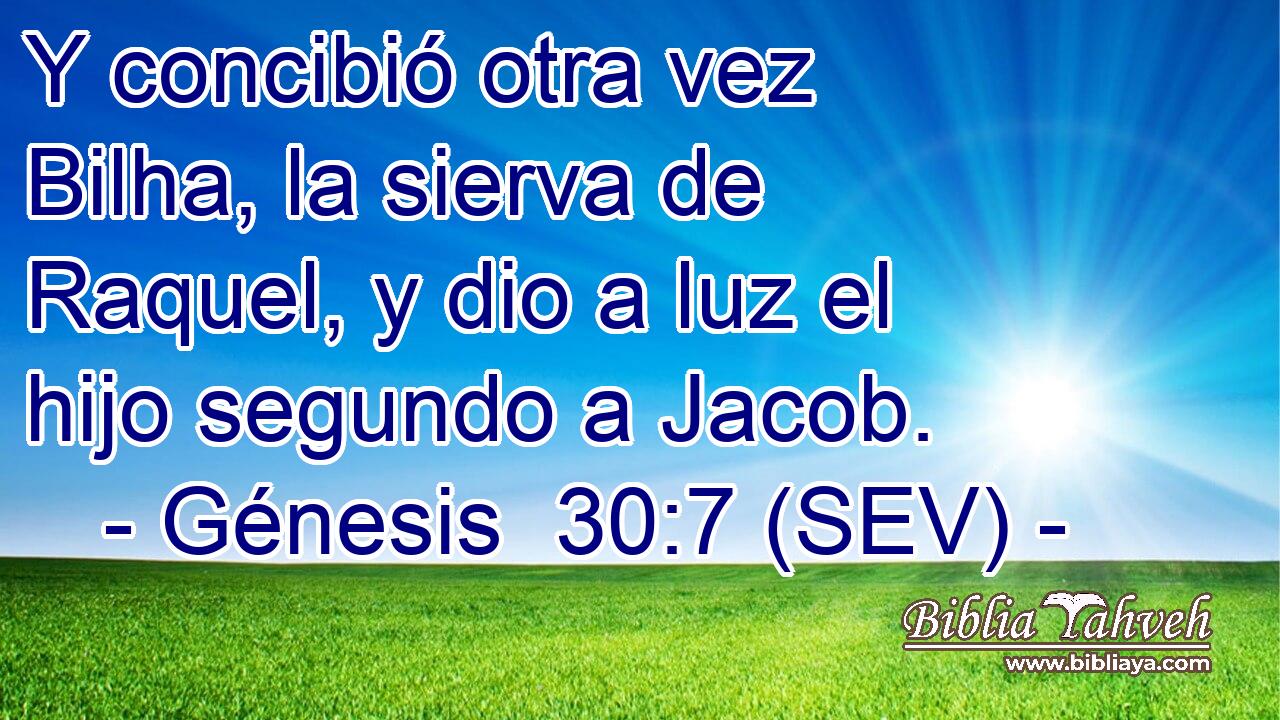 Y concibió otra vez Bilha, la sierva de Raquel, y dio a luz el hijo segundo a Jacob.