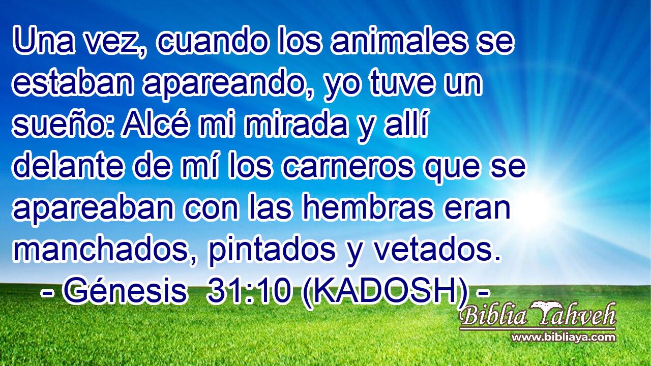  Una vez, cuando los animales se estaban apareando, yo tuve un sueño: Alcé mi mirada y allí delante de mí los carneros que se apareaban con las hembras eran manchados, pintados y vetados. 