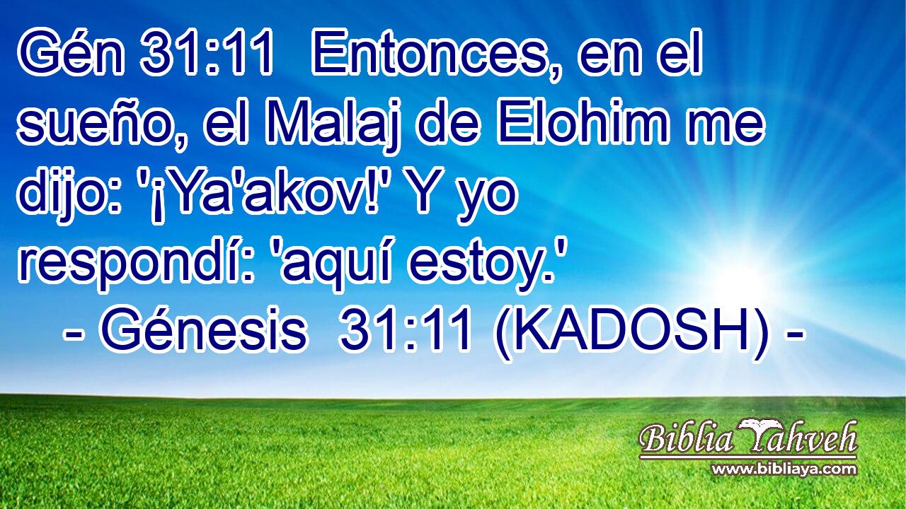  Entonces, en el sueño, el Malaj de Elohim me dijo: '¡Ya'akov!' Y yo respondí: 'aquí estoy.' 
