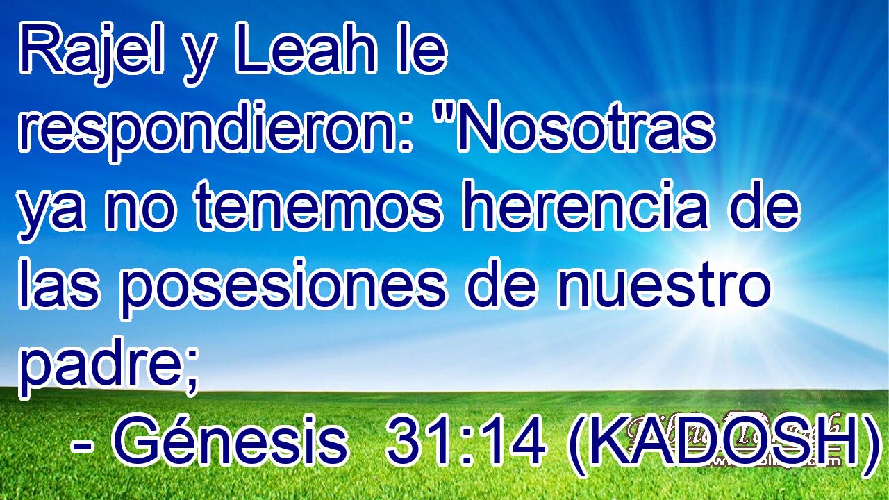  Rajel y Leah le respondieron: 