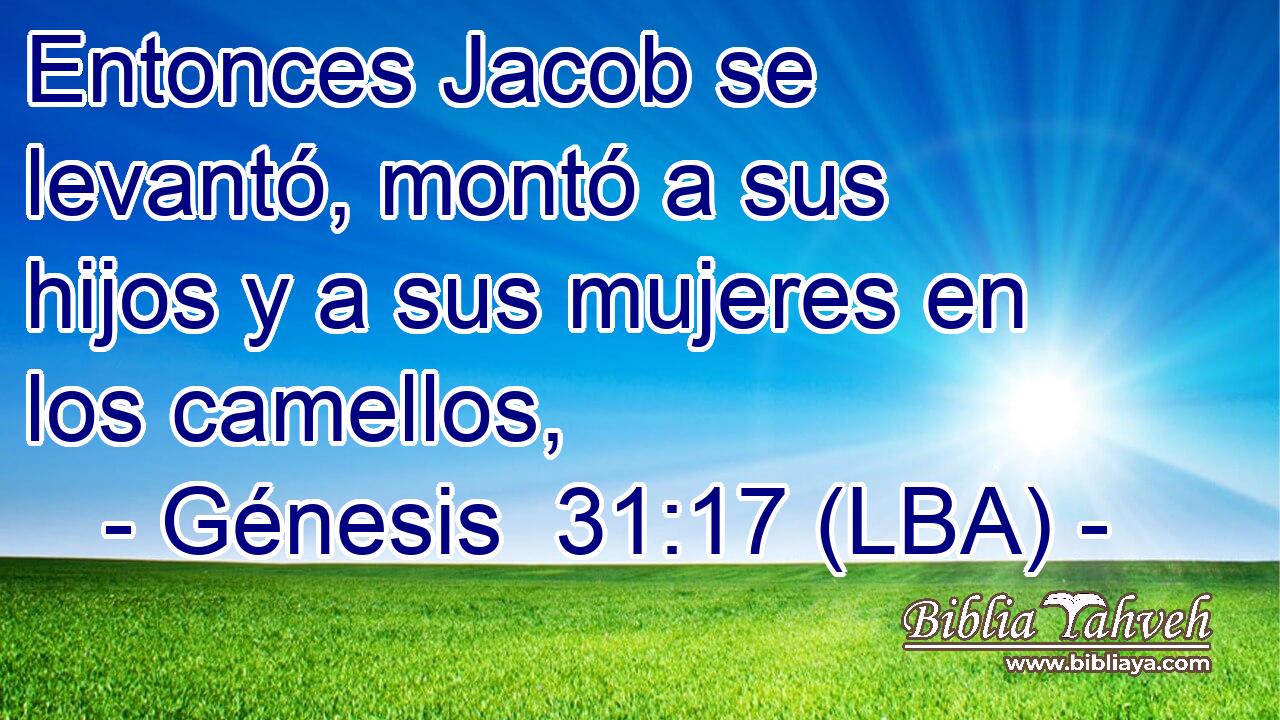 Entonces Jacob se levantó, montó a sus hijos y a sus mujeres en los camellos,