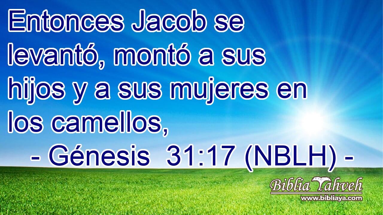  Entonces Jacob se levantó, montó a sus hijos y a sus mujeres en los camellos, 