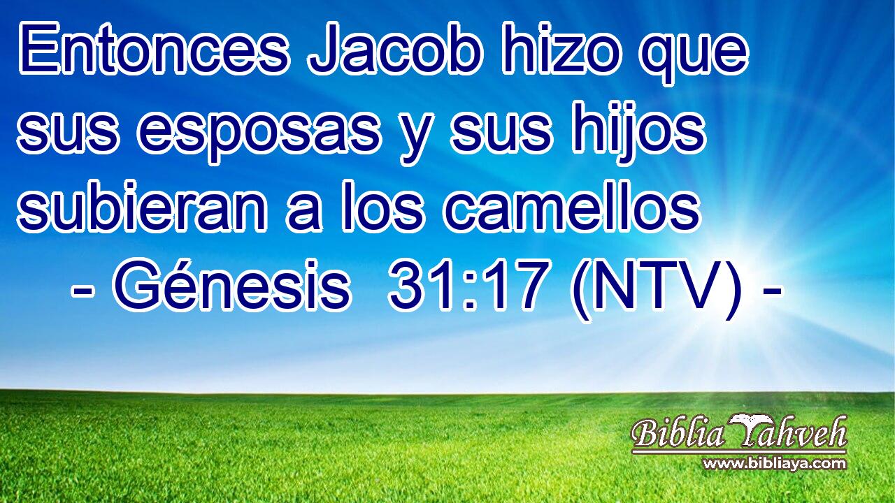 Entonces Jacob hizo que sus esposas y sus hijos subieran a los camellos
