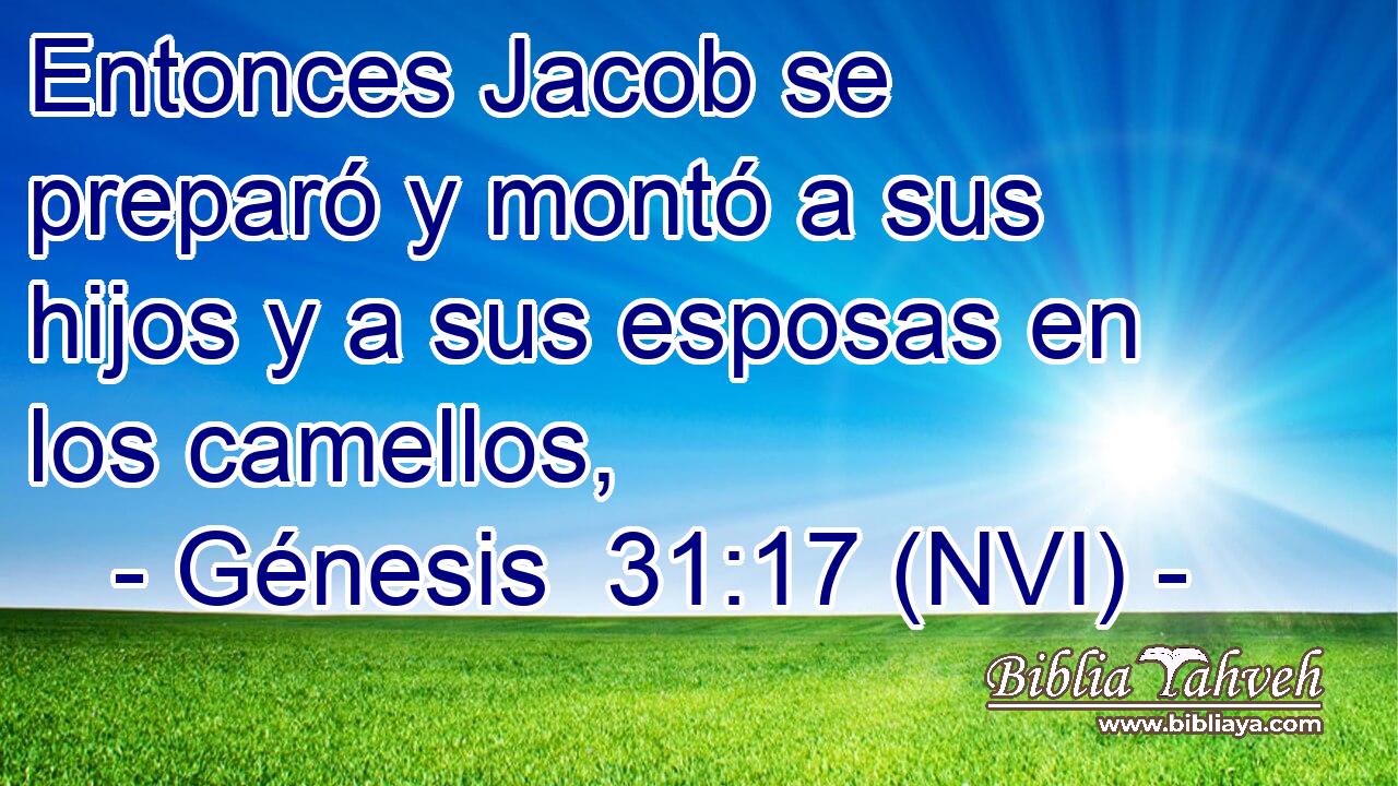  Entonces Jacob se preparó y montó a sus hijos y a sus esposas en los camellos, 