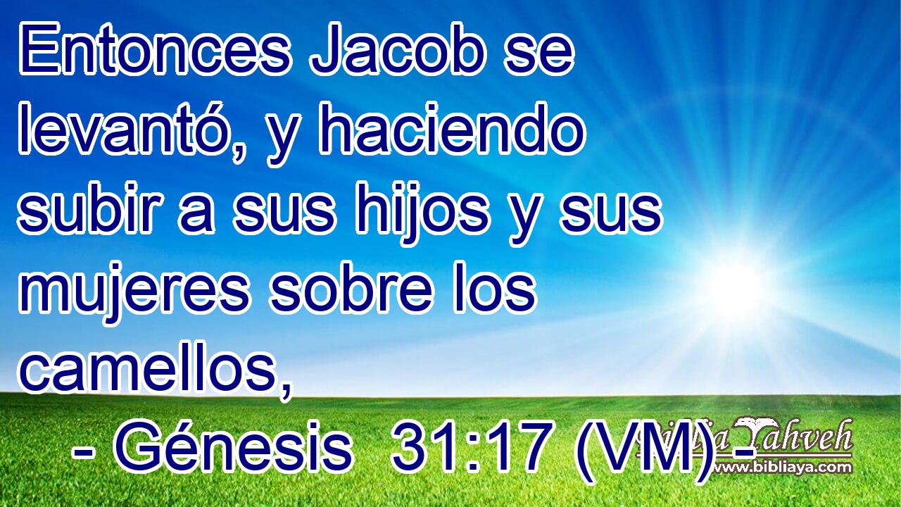  Entonces Jacob se levantó, y haciendo subir a sus hijos y sus mujeres sobre los camellos, 