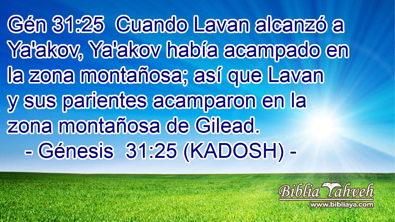  Cuando Lavan alcanzó a Ya'akov, Ya'akov había acampado en la zona montañosa; así que Lavan y sus parientes acamparon en la zona montañosa de Gilead. 