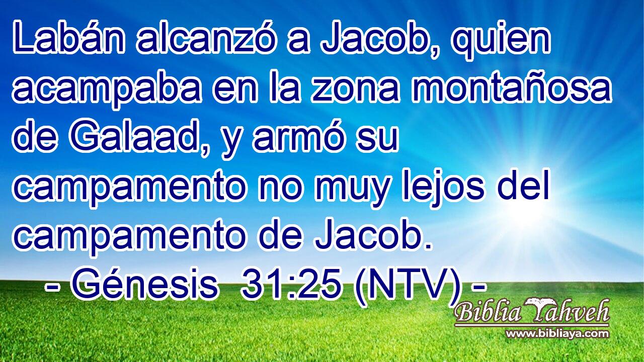 Labán alcanzó a Jacob, quien acampaba en la zona montañosa de Galaad, y armó su campamento no muy lejos del campamento de Jacob.