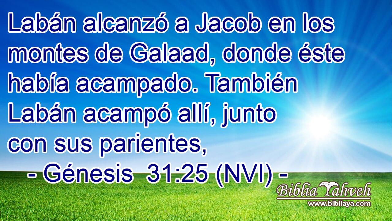  Labán alcanzó a Jacob en los montes de Galaad, donde éste había acampado. También Labán acampó allí, junto con sus parientes, 