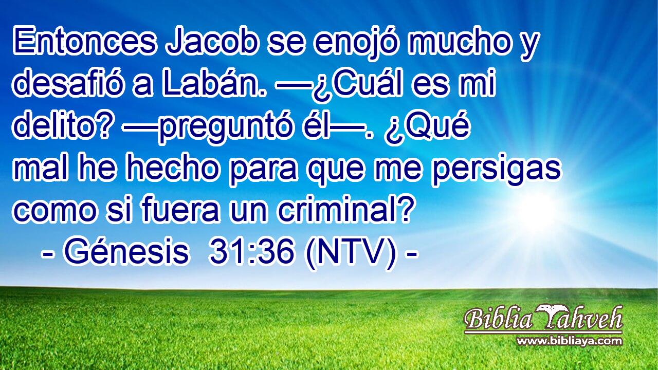 Entonces Jacob se enojó mucho y desafió a Labán. —¿Cuál es mi delito? —preguntó él—. ¿Qué mal he hecho para que me persigas como si fuera un criminal?