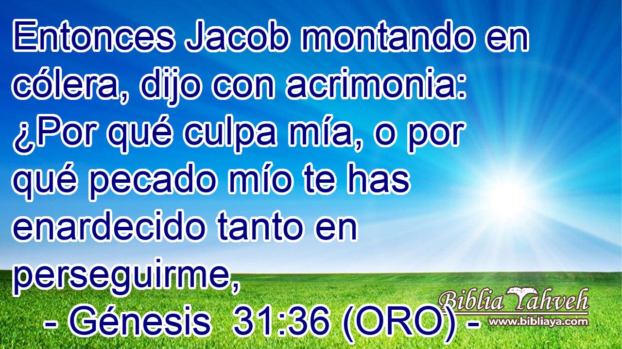  Entonces Jacob montando en cólera, dijo con acrimonia: ¿Por qué culpa mía, o por qué pecado mío te has enardecido tanto en perseguirme, 
