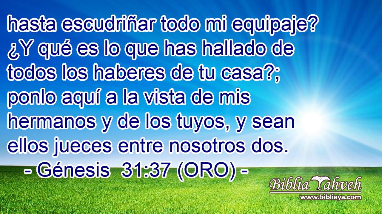  hasta escudriñar todo mi equipaje? ¿Y qué es lo que has hallado de todos los haberes de tu casa?; ponlo aquí a la vista de mis hermanos y de los tuyos, y sean ellos jueces entre nosotros dos. 