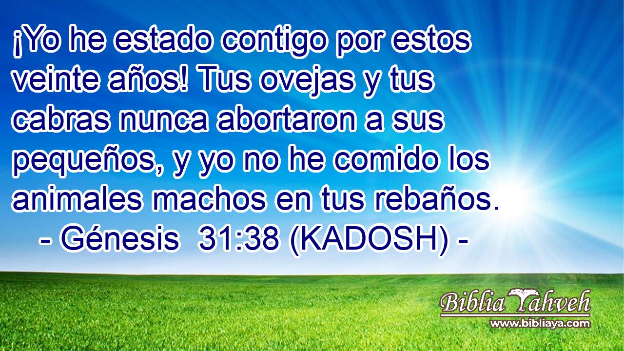  ¡Yo he estado contigo por estos veinte años! Tus ovejas y tus cabras nunca abortaron a sus pequeños, y yo no he comido los animales machos en tus rebaños. 