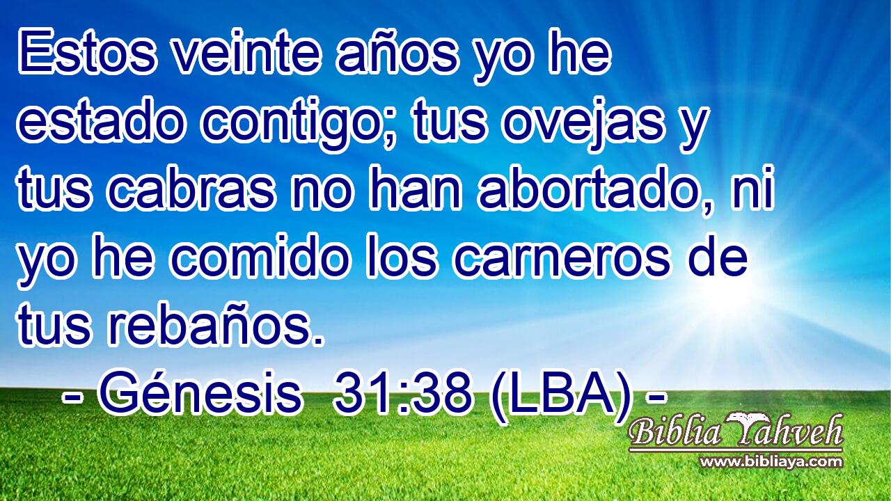 Estos veinte años yo he estado contigo; tus ovejas y tus cabras no han abortado, ni yo he comido los carneros de tus rebaños.