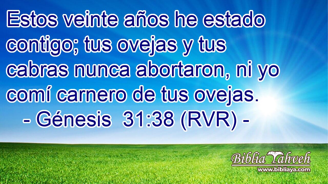 Estos veinte años he estado contigo; tus ovejas y tus cabras nunca abortaron, ni yo comí carnero de tus ovejas.