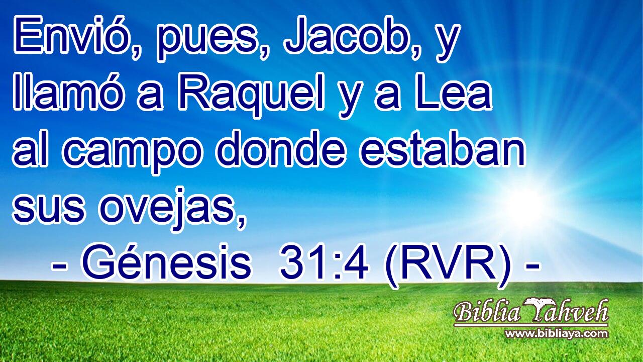 Envió, pues, Jacob, y llamó a Raquel y a Lea al campo donde estaban sus ovejas,
