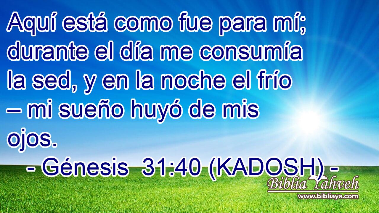  Aquí está como fue para mí; durante el día me consumía la sed, y en la noche el frío – mi sueño huyó de mis ojos. 