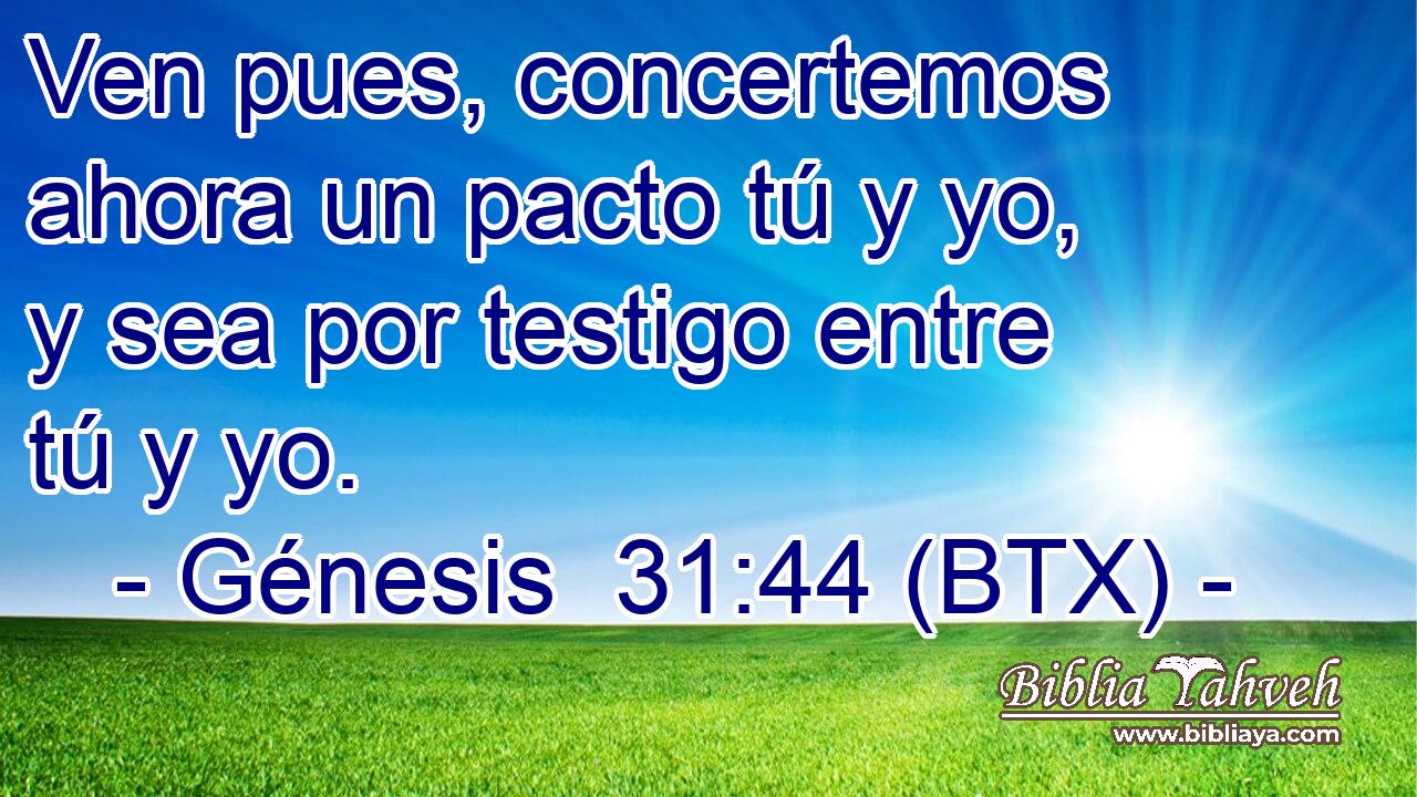 Ven pues, concertemos ahora un pacto tú y yo, y sea por testigo entre tú y yo.