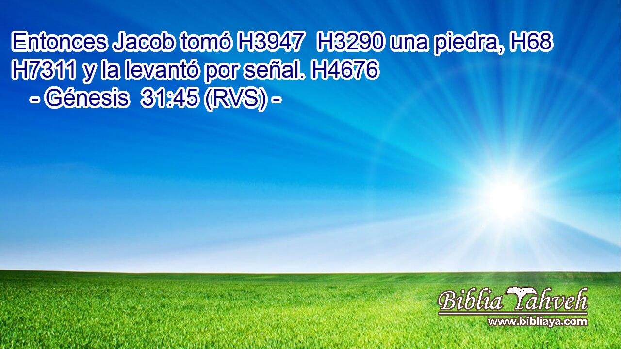 Entonces Jacob tomó H3947  H3290 una piedra, H68  H7311 y la levantó por señal. H4676  