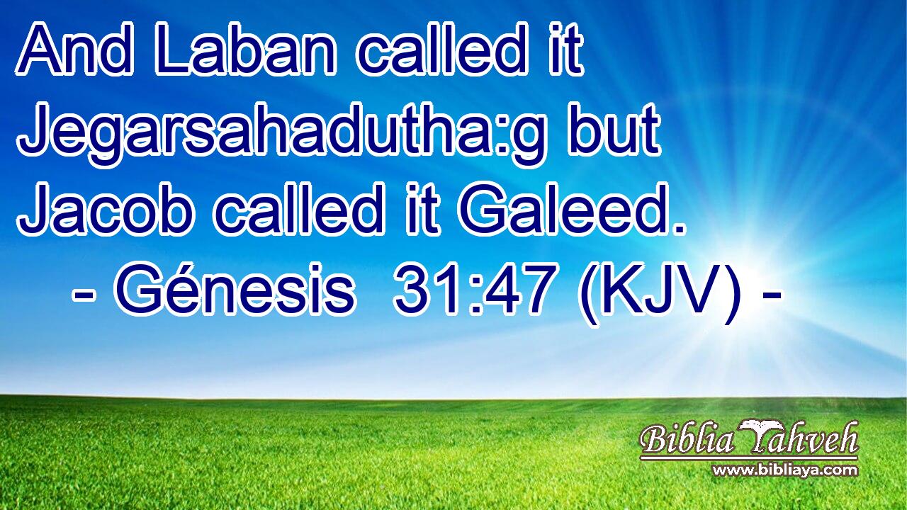 And Laban called it Jegarsahadutha:g but Jacob called it Galeed.