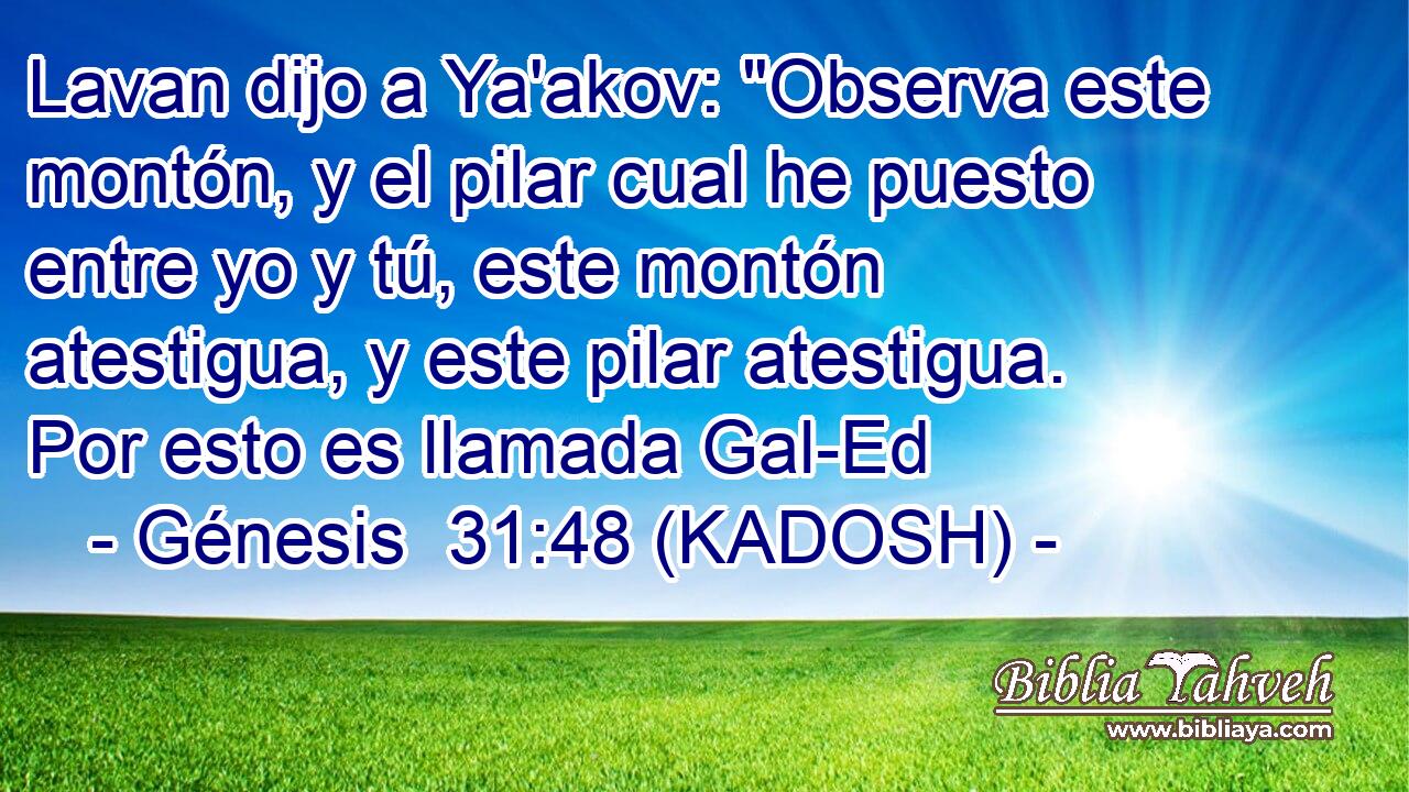  Lavan dijo a Ya'akov: 