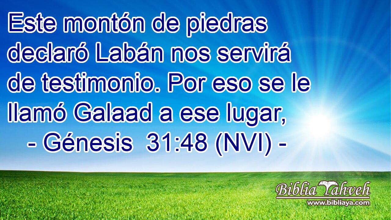  Este montón de piedras declaró Labán nos servirá de testimonio. Por eso se le llamó Galaad a ese lugar, 