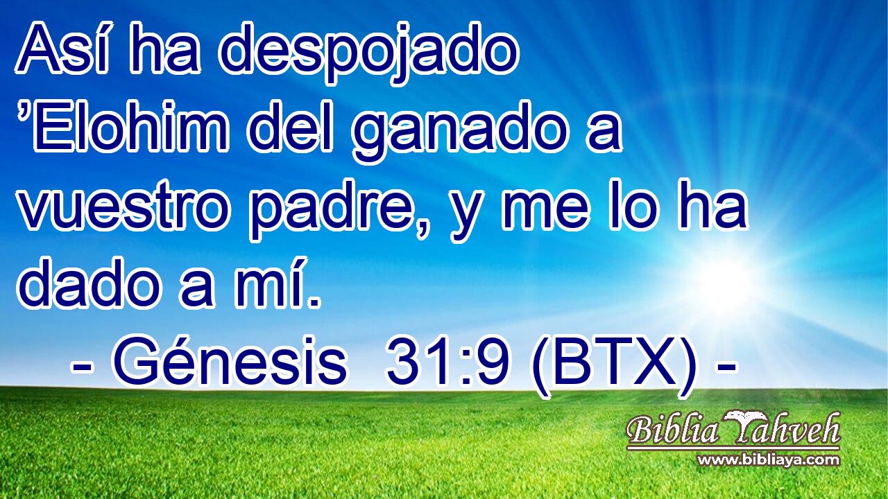 Así ha despojado ’Elohim del ganado a vuestro padre, y me lo ha dado a mí.