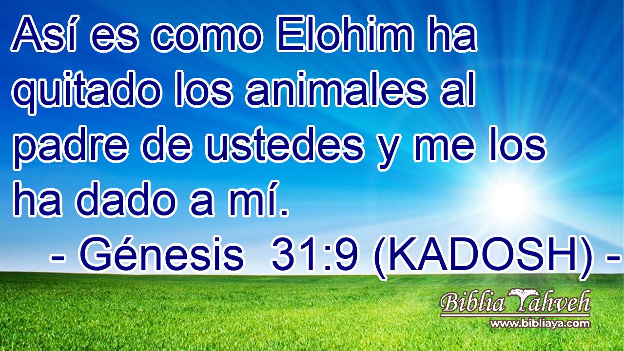  Así es como Elohim ha quitado los animales al padre de ustedes y me los ha dado a mí. 