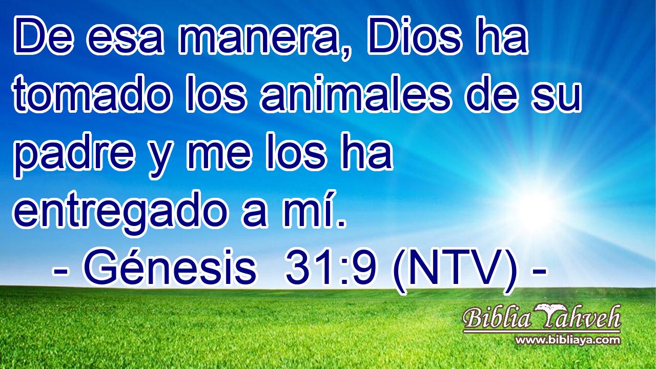 De esa manera, Dios ha tomado los animales de su padre y me los ha entregado a mí.