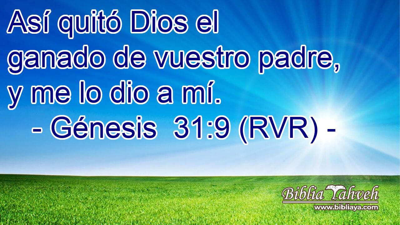 Así quitó Dios el ganado de vuestro padre, y me lo dio a mí.