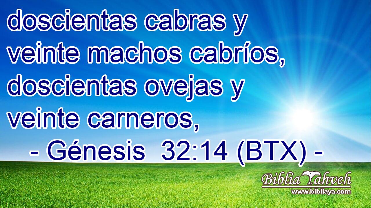 doscientas cabras y veinte machos cabríos, doscientas ovejas y veinte carneros,