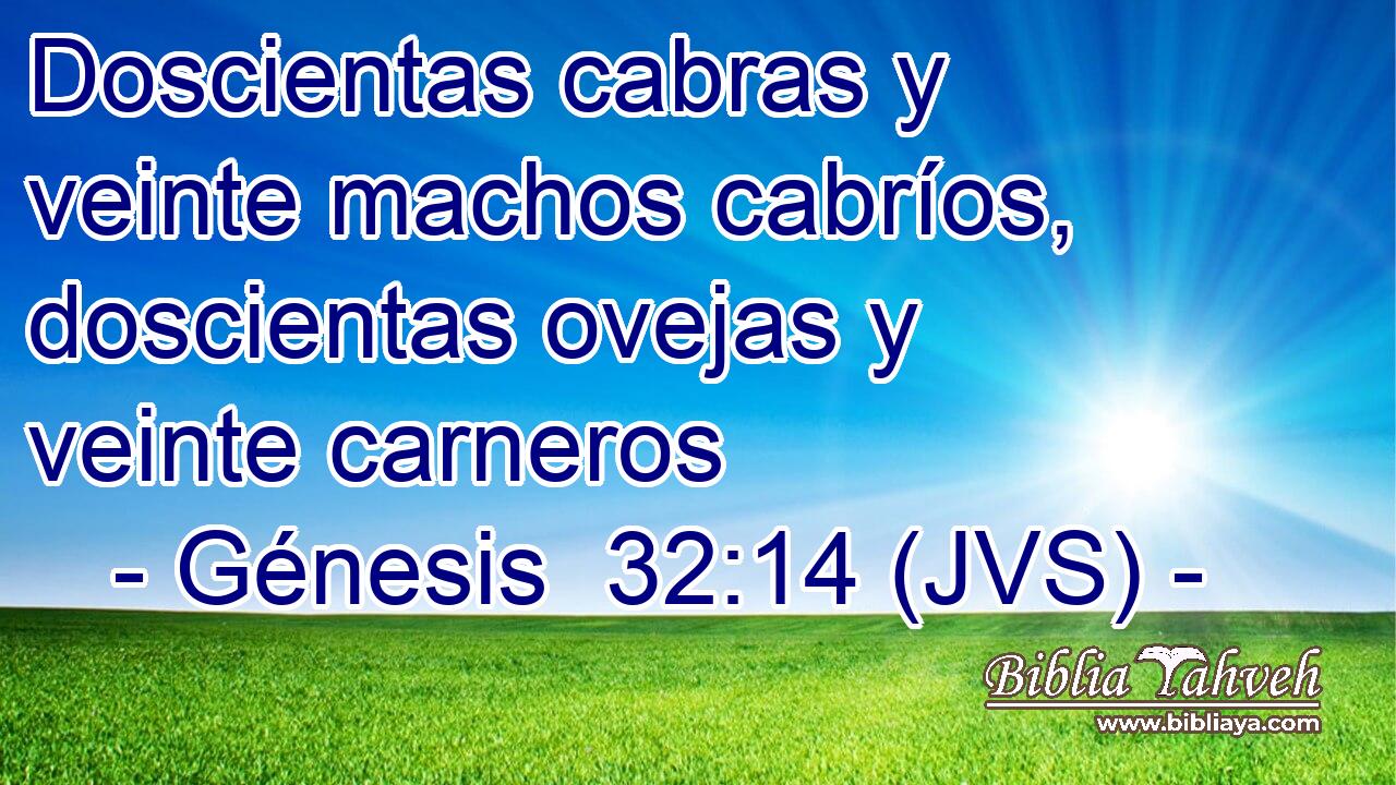 Doscientas cabras y veinte machos cabríos, doscientas ovejas y veinte carneros
