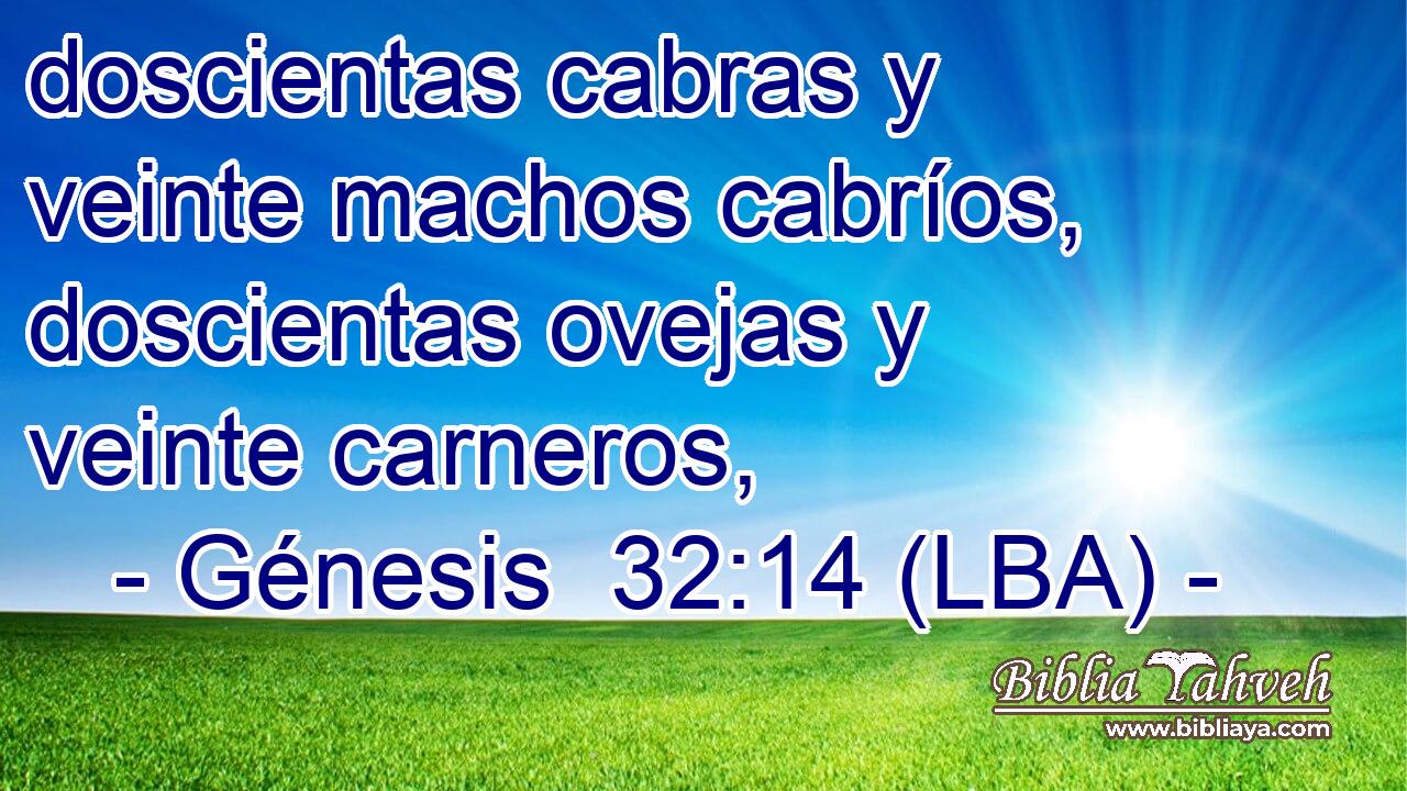 doscientas cabras y veinte machos cabríos, doscientas ovejas y veinte carneros,