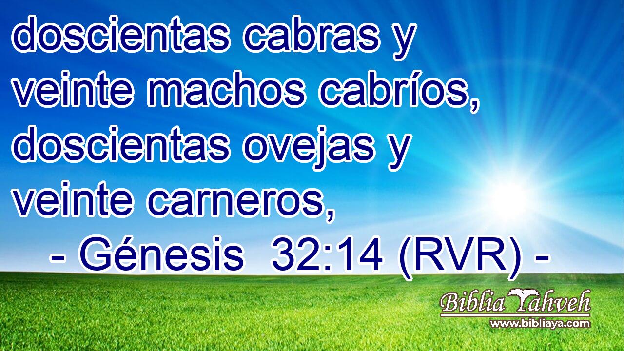 doscientas cabras y veinte machos cabríos, doscientas ovejas y veinte carneros,