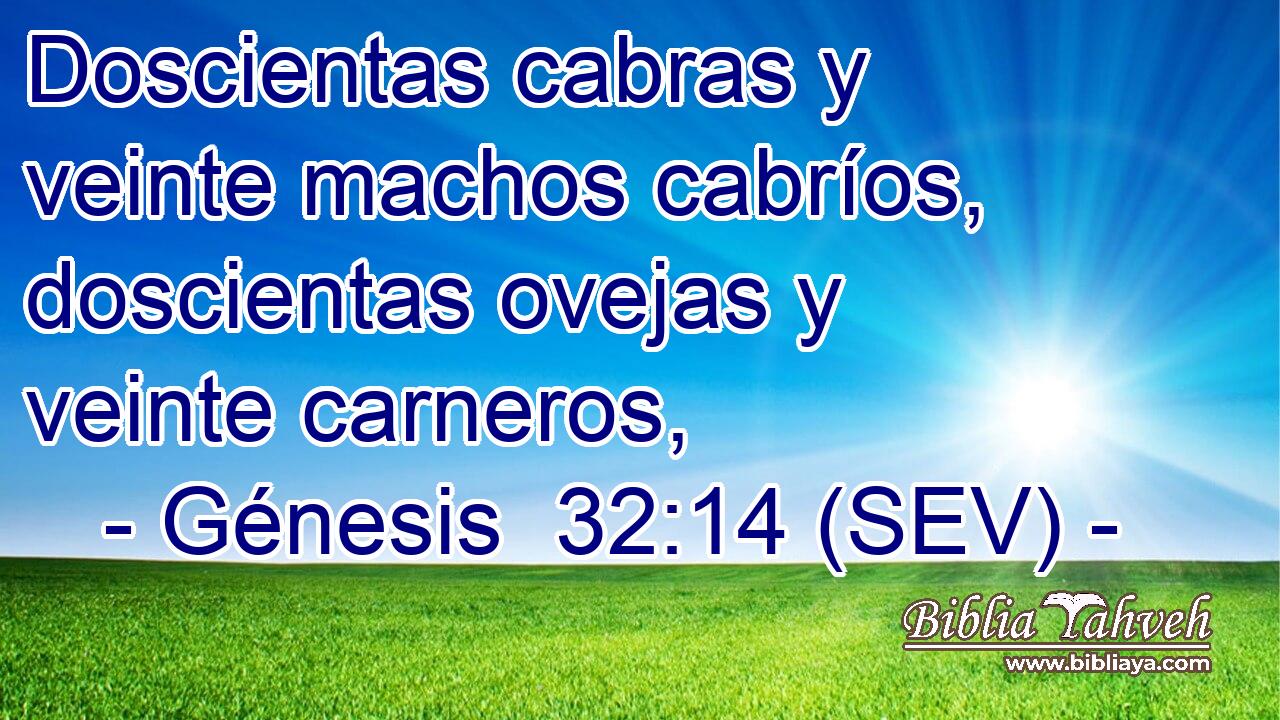 Doscientas cabras y veinte machos cabríos, doscientas ovejas y veinte carneros,