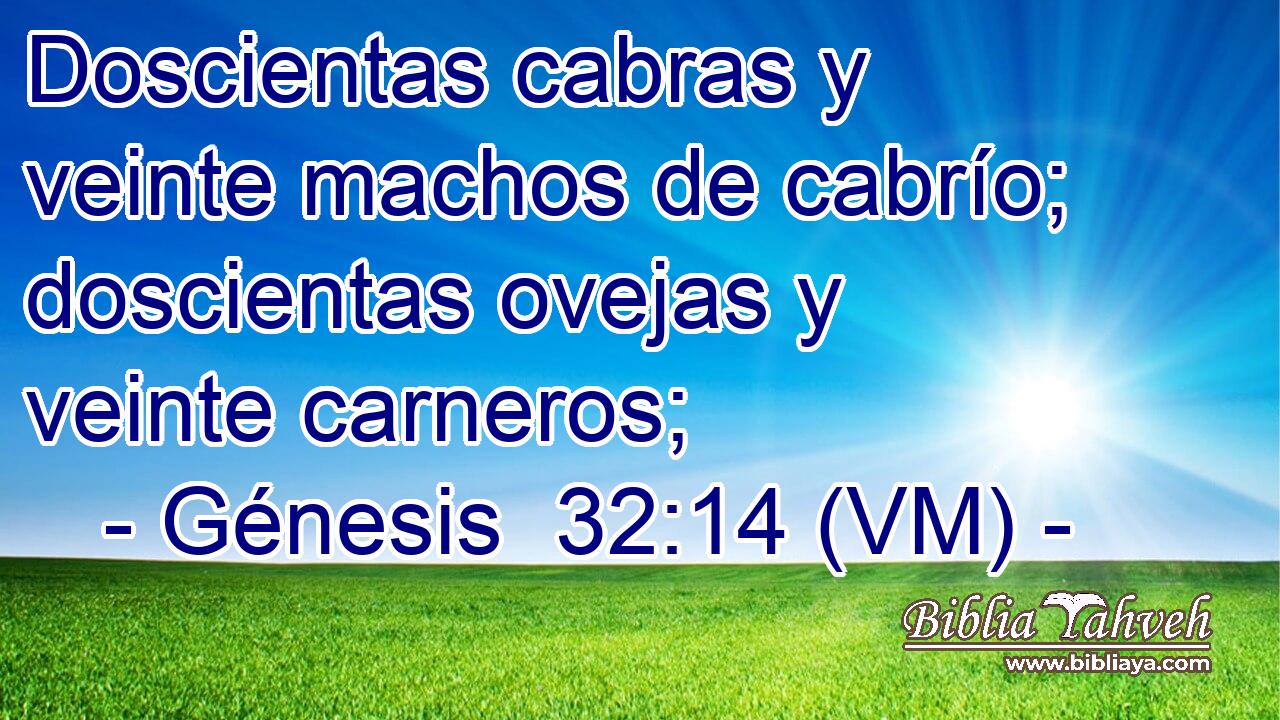  Doscientas cabras y veinte machos de cabrío; doscientas ovejas y veinte carneros; 