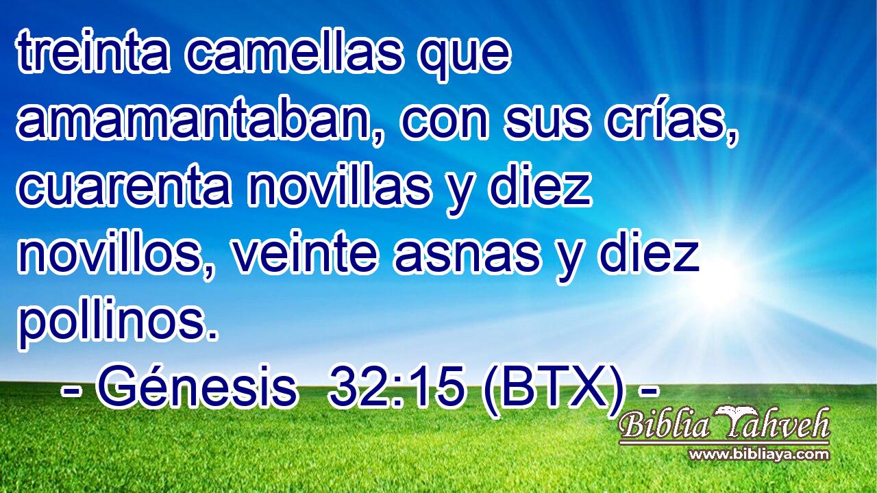 treinta camellas que amamantaban, con sus crías, cuarenta novillas y diez novillos, veinte asnas y diez pollinos.