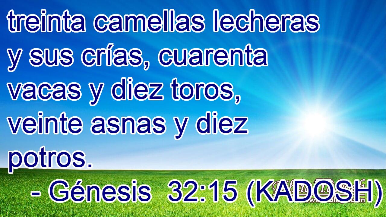  treinta camellas lecheras y sus crías, cuarenta vacas y diez toros, veinte asnas y diez potros. 