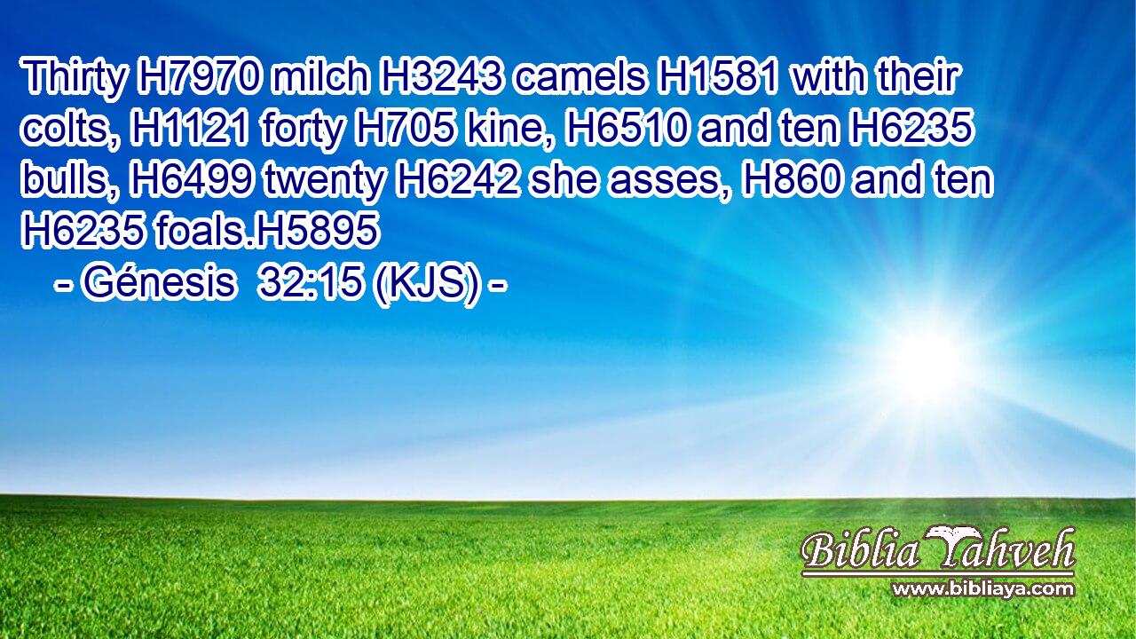 Thirty H7970 milch H3243 camels H1581 with their colts, H1121 forty H705 kine, H6510 and ten H6235 bulls, H6499 twenty H6242 she asses, H860 and ten H6235 foals.H5895