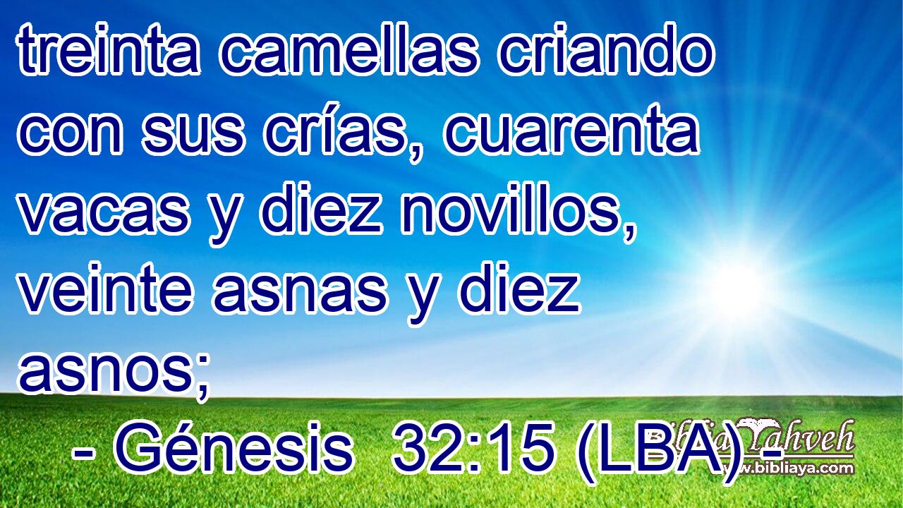 treinta camellas criando con sus crías, cuarenta vacas y diez novillos, veinte asnas y diez asnos;