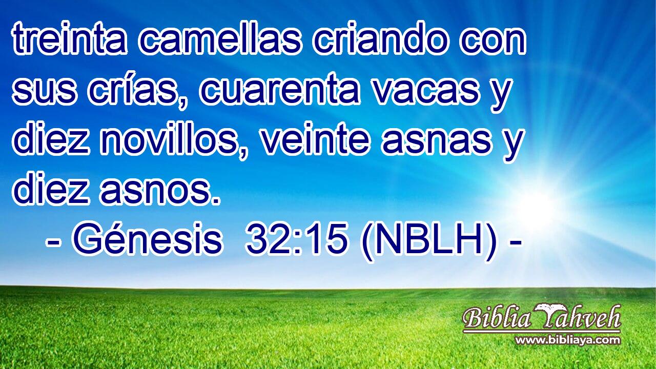 treinta camellas criando con sus crías, cuarenta vacas y diez novillos, veinte asnas y diez asnos. 