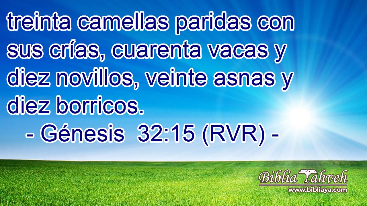 treinta camellas paridas con sus crías, cuarenta vacas y diez novillos, veinte asnas y diez borricos.