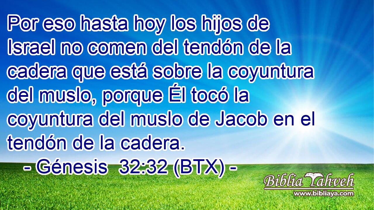 Por eso hasta hoy los hijos de Israel no comen del tendón de la cadera que está sobre la coyuntura del muslo, porque Él tocó la coyuntura del muslo de Jacob en el tendón de la cadera.