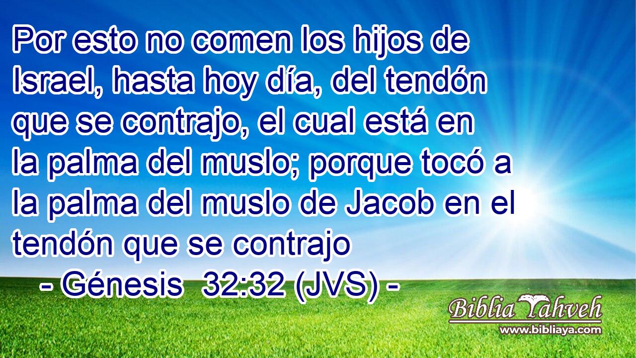 Por esto no comen los hijos de Israel, hasta hoy día, del tendón que se contrajo, el cual está en la palma del muslo; porque tocó a la palma del muslo de Jacob en el tendón que se contrajo