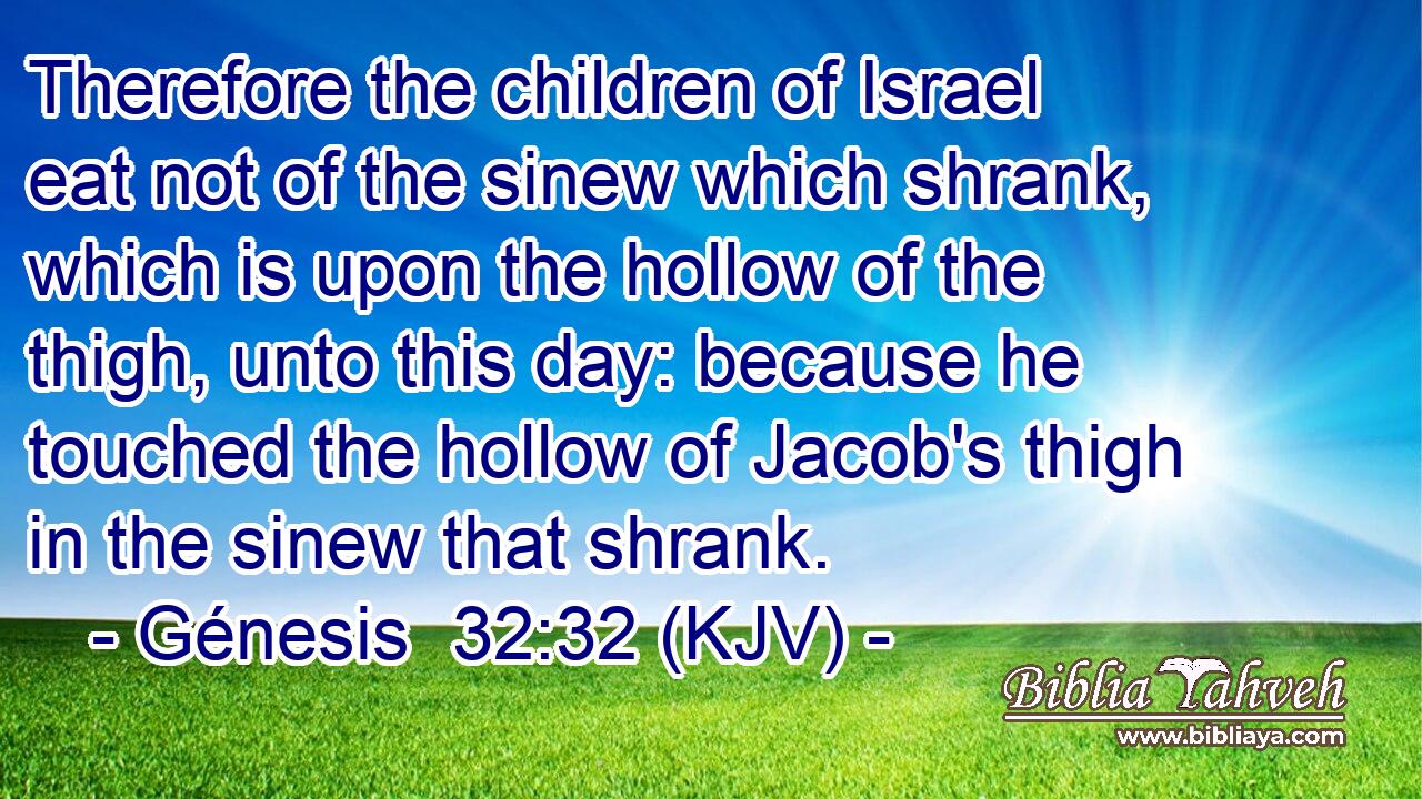Therefore the children of Israel eat not of the sinew which shrank, which is upon the hollow of the thigh, unto this day: because he touched the hollow of Jacob's thigh in the sinew that shrank.