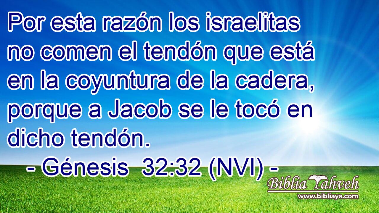  Por esta razón los israelitas no comen el tendón que está en la coyuntura de la cadera, porque a Jacob se le tocó en dicho tendón. 